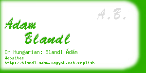 adam blandl business card