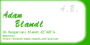 adam blandl business card